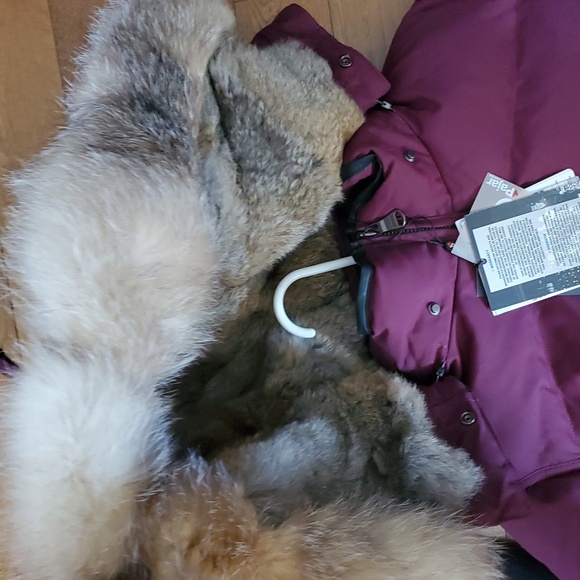 Pajar. Flash $ - Picture 4 of 17